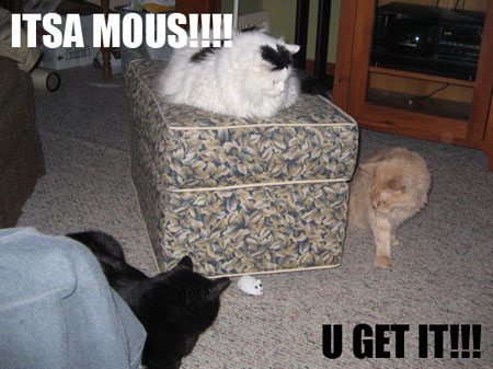 its a mous!!! u get it!!!