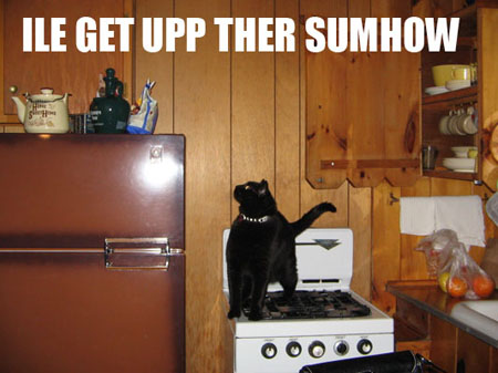 ile get upp ther sumhow