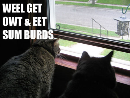 weel get out & eet sum burds