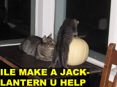 ILE MAKE A JACK LANTERN U HELP